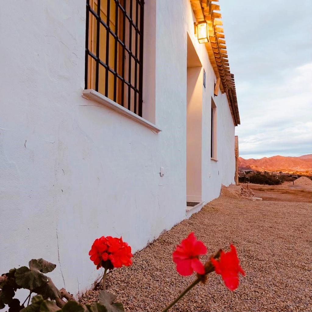 Casa Vacaciones Almadraba Cabo Cope Villa Aguilas Exterior photo
